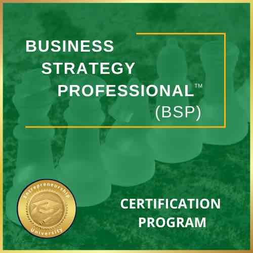 Business strategy professional bsp certification program
